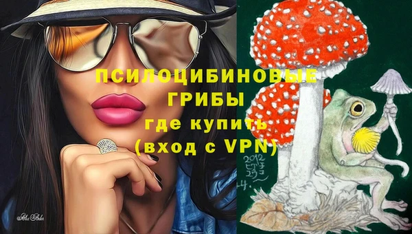 шишки Алзамай