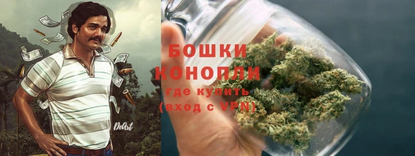 шишки Алзамай