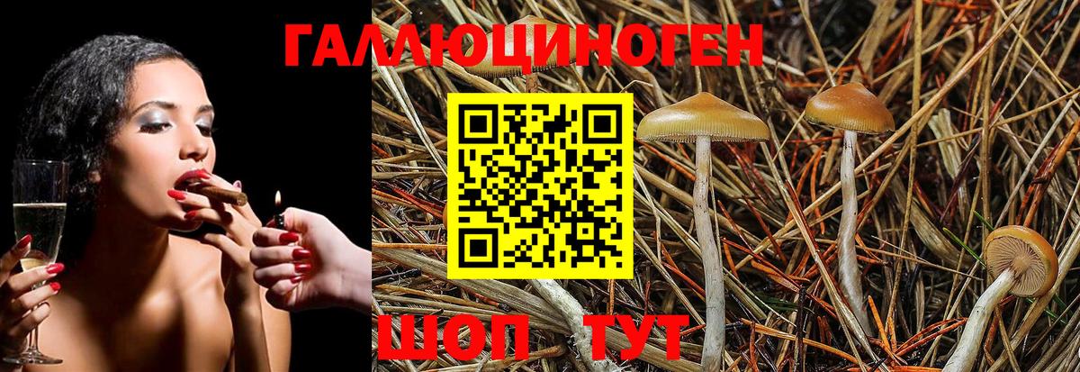 Псилоцибиновые грибы Magic Shrooms  Вход с VPN  Сосновый Бор 